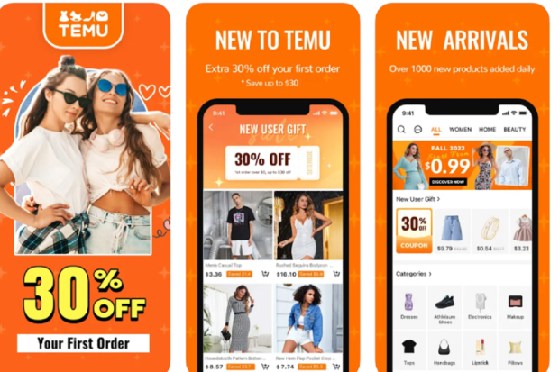 Temu et la tendance de la chasse aux bonnes affaires chez la classe moyenne française